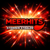 Dit Zijn Onze Sterren Op Meerhits